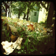 Illustration for article titled Shooting Challenge Fall Leaves Gallery 9